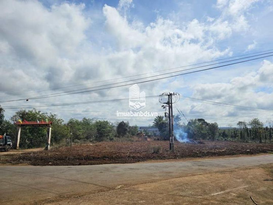 Đất Thổ Cư 3900m2 Ea Drong 650m2 Thổ Cư - Gần Khu Công Nghiệp Phú Xuân - ảnh 3