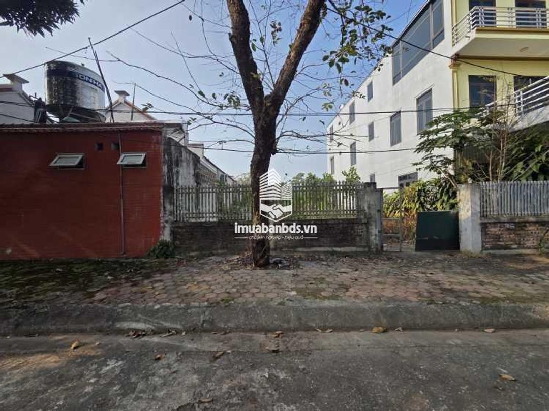 HOT! Đất view hồ Tân Xã, đường 4 ô tô, lõi khu CNC,đối diện ĐH FPT, ĐHQG Hà Nội - ảnh 3