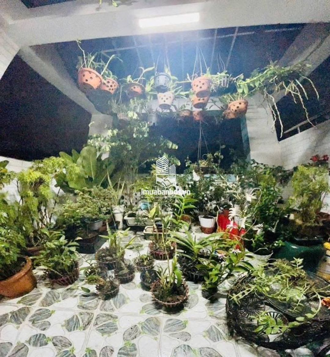Bán gấp nhà đường Số 17, Hiệp Bình Chánh, Thủ Đức, diện tích 49.2m2, Giá 4 tỷ 570, SHR - ảnh 2