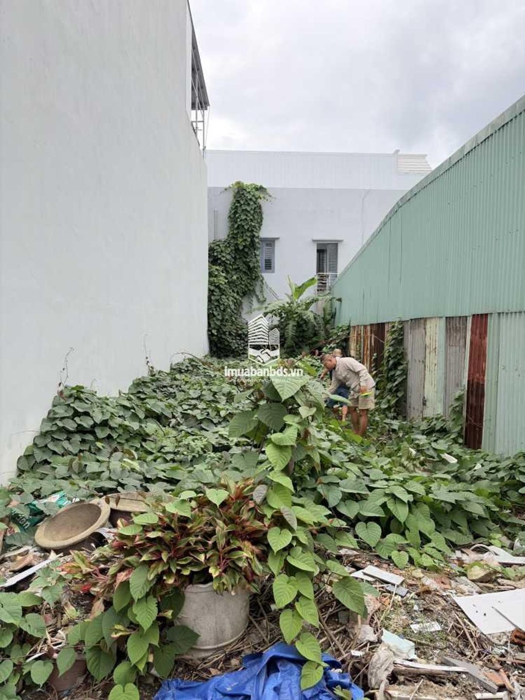 CHÍNH CHỦ BÁN 125M2 ĐẤT BIỂN NGAY TTTP ĐÀ NẴNG, SHR, CHỈ 12.5 TỶ. LH:0779089999. - ảnh 5