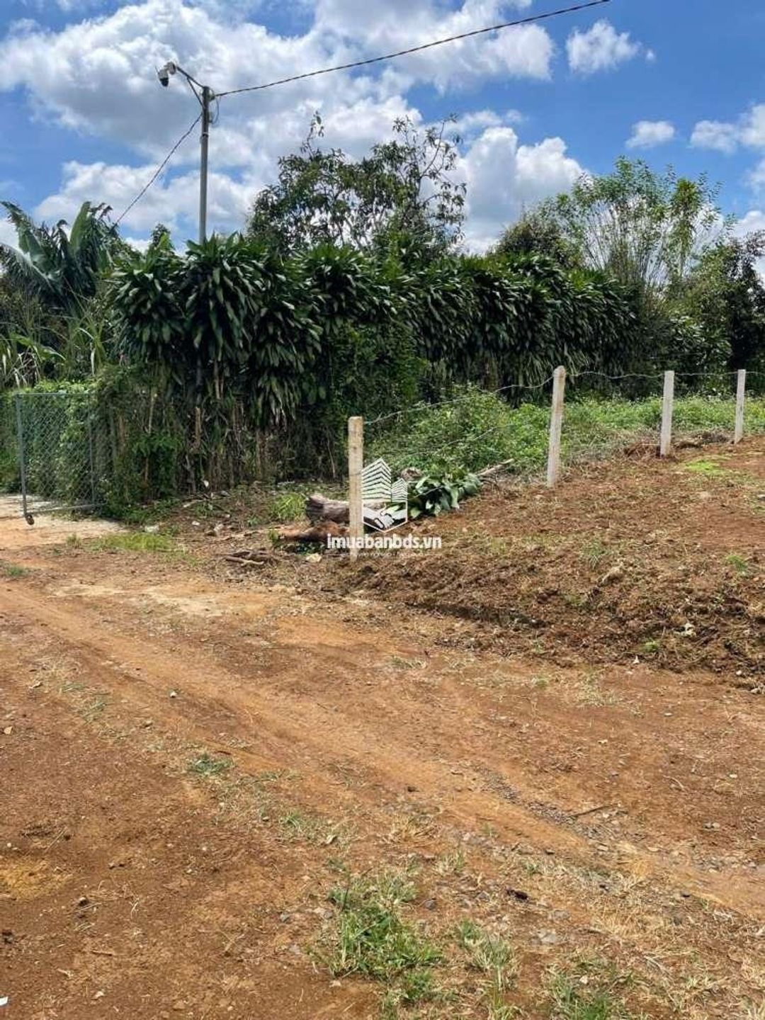 Bán 166,6m2 đất Tân Lạc Lâm Đồng, sẵn SHR, chỉ 450tr buông sổ. Lh:0983762203 - ảnh 4