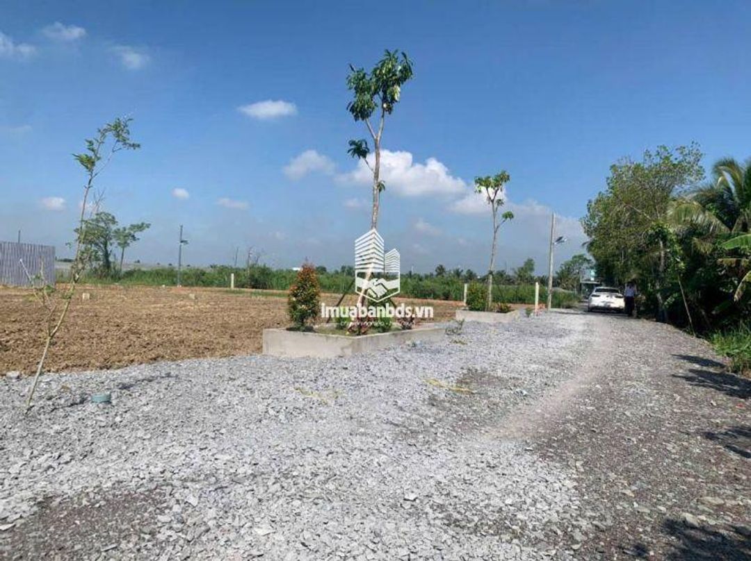 Bán đất mặt tiền Nguyễn Thìn, Long Thuận, vị trí đắc địa, giá chỉ 900 triệu - ảnh 3