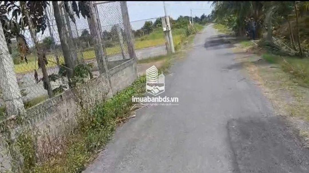 Bán Nhà Vườn 12.000m2, Giá 31 Tỷ, Kênh 12, Xã Lê Minh Xuân Bình Chánh TPHCM - ảnh 2