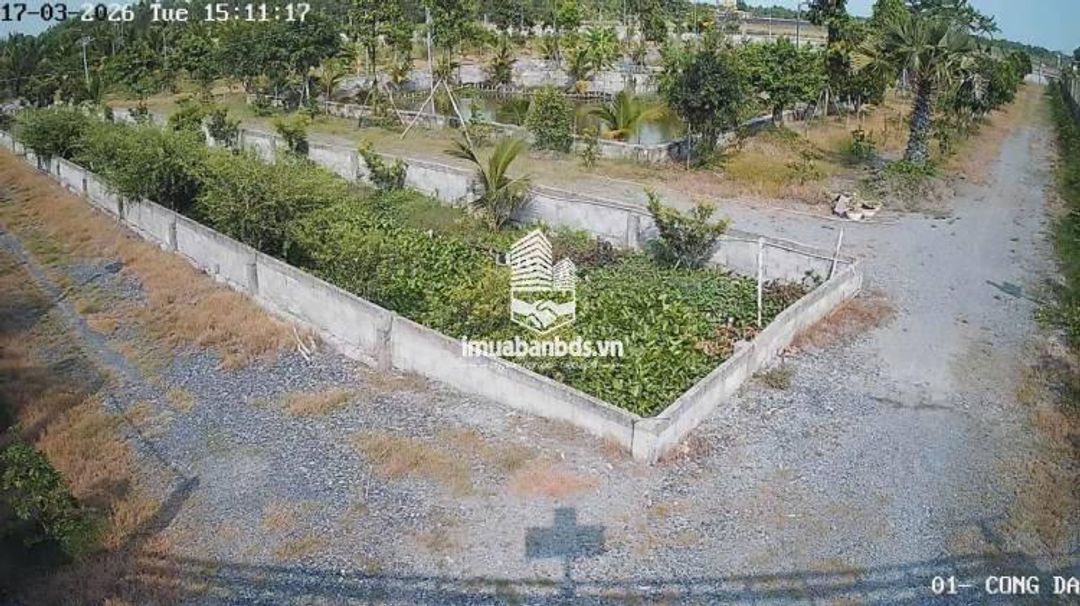 Bán Nhà Vườn 12.000m2, Giá 31 Tỷ, Kênh 12, Xã Lê Minh Xuân Bình Chánh TPHCM - ảnh 5