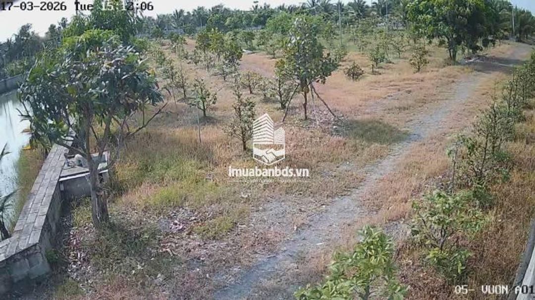 Bán Nhà Vườn 12.000m2, Giá 31 Tỷ, Kênh 12, Xã Lê Minh Xuân Bình Chánh TPHCM - ảnh 6