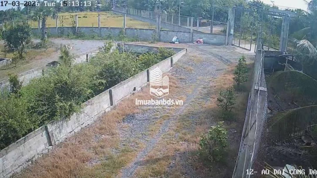 Bán Nhà Vườn 12.000m2, Giá 31 Tỷ, Kênh 12, Xã Lê Minh Xuân Bình Chánh TPHCM - ảnh 4