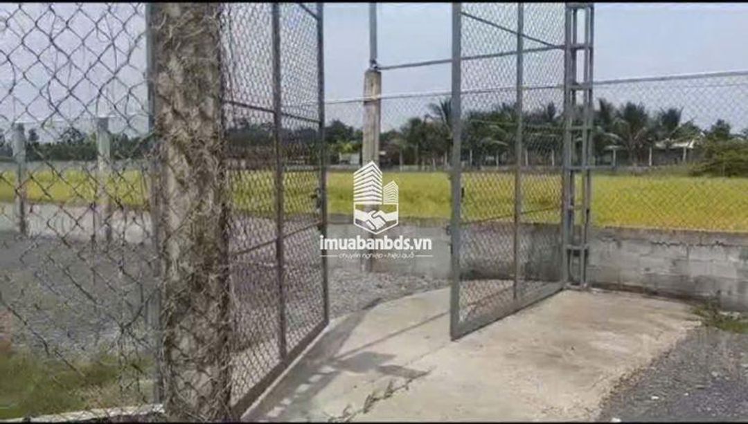 Bán Nhà Vườn 12.000m2, Giá 31 Tỷ, Kênh 12, Xã Lê Minh Xuân Bình Chánh TPHCM - ảnh 9