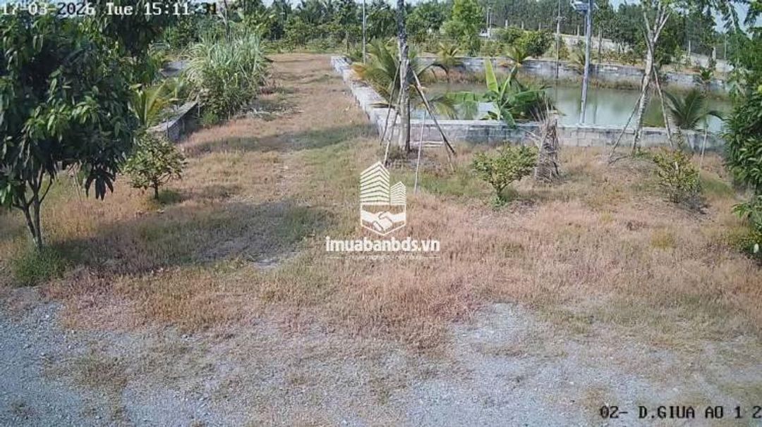 Bán Nhà Vườn 12.000m2, Giá 31 Tỷ, Kênh 12, Xã Lê Minh Xuân Bình Chánh TPHCM - ảnh 7