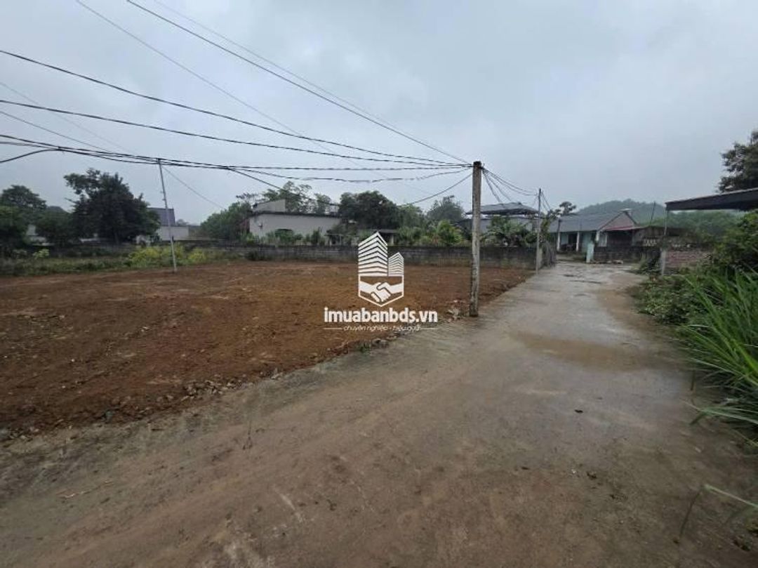 Đất Trung Tâm Ba Hàng Đồi – Sổ Sẵn 100% Thổ Cư – Chỉ Hơn 300 Triệu, Cơ Hội Đầu Tư Hiếm! - ảnh 1