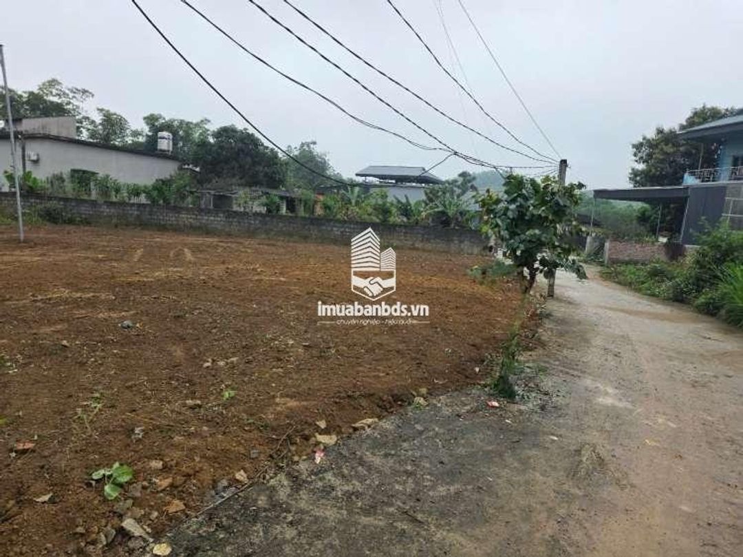 Đất Trung Tâm Ba Hàng Đồi – Sổ Sẵn 100% Thổ Cư – Chỉ Hơn 300 Triệu, Cơ Hội Đầu Tư Hiếm! - ảnh 3