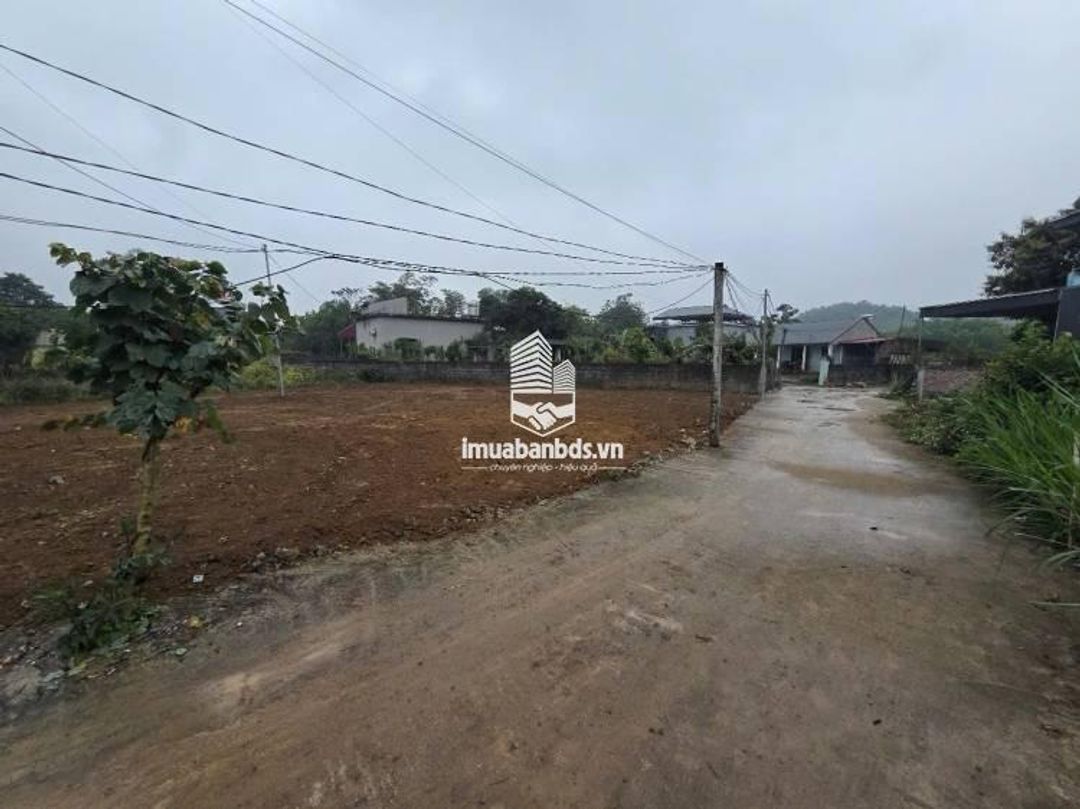 Đất Trung Tâm Ba Hàng Đồi – Sổ Sẵn 100% Thổ Cư – Chỉ Hơn 300 Triệu, Cơ Hội Đầu Tư Hiếm! - ảnh 2