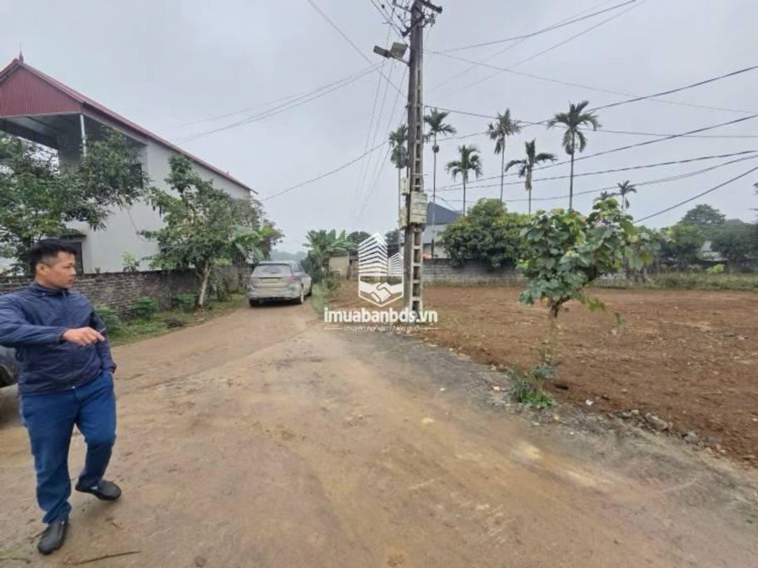 Đất Trung Tâm Ba Hàng Đồi – Sổ Sẵn 100% Thổ Cư – Chỉ Hơn 300 Triệu, Cơ Hội Đầu Tư Hiếm! - ảnh 4