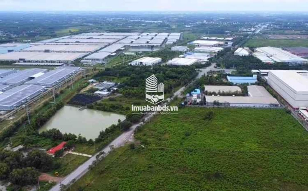 Bán Gấp ĐẤT Giá 730TR cách KCN PHƯỚC ĐÔNG (10 phút) - ảnh 2