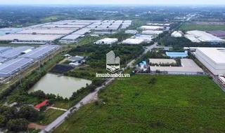 Bán Gấp ĐẤT Giá 730TR cách KCN PHƯỚC ĐÔNG (10 phút) - thumbnail 2