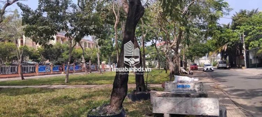 Bán lô đất 500m2 ĐS 14B trên đất có nhà 2 lầu + 1 nhà C4 & 20 phòng trọ - ảnh 4