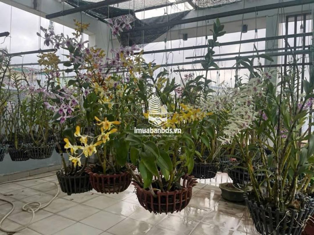 Bán nhà đúc 2,5 tấm hẻm 142 đường số 339 P. Phước Long B, Q9 cũ - ảnh 8