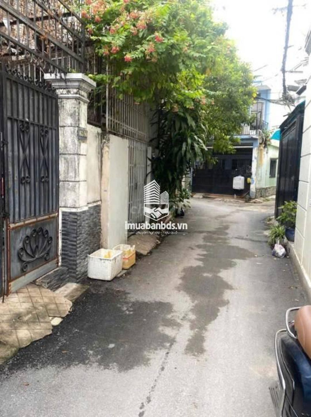 Bán nhà hẻm xe hơi 463 Lê Đức Thọ P16 Gò Vấp 1 trệt 1 lầu - ảnh 2