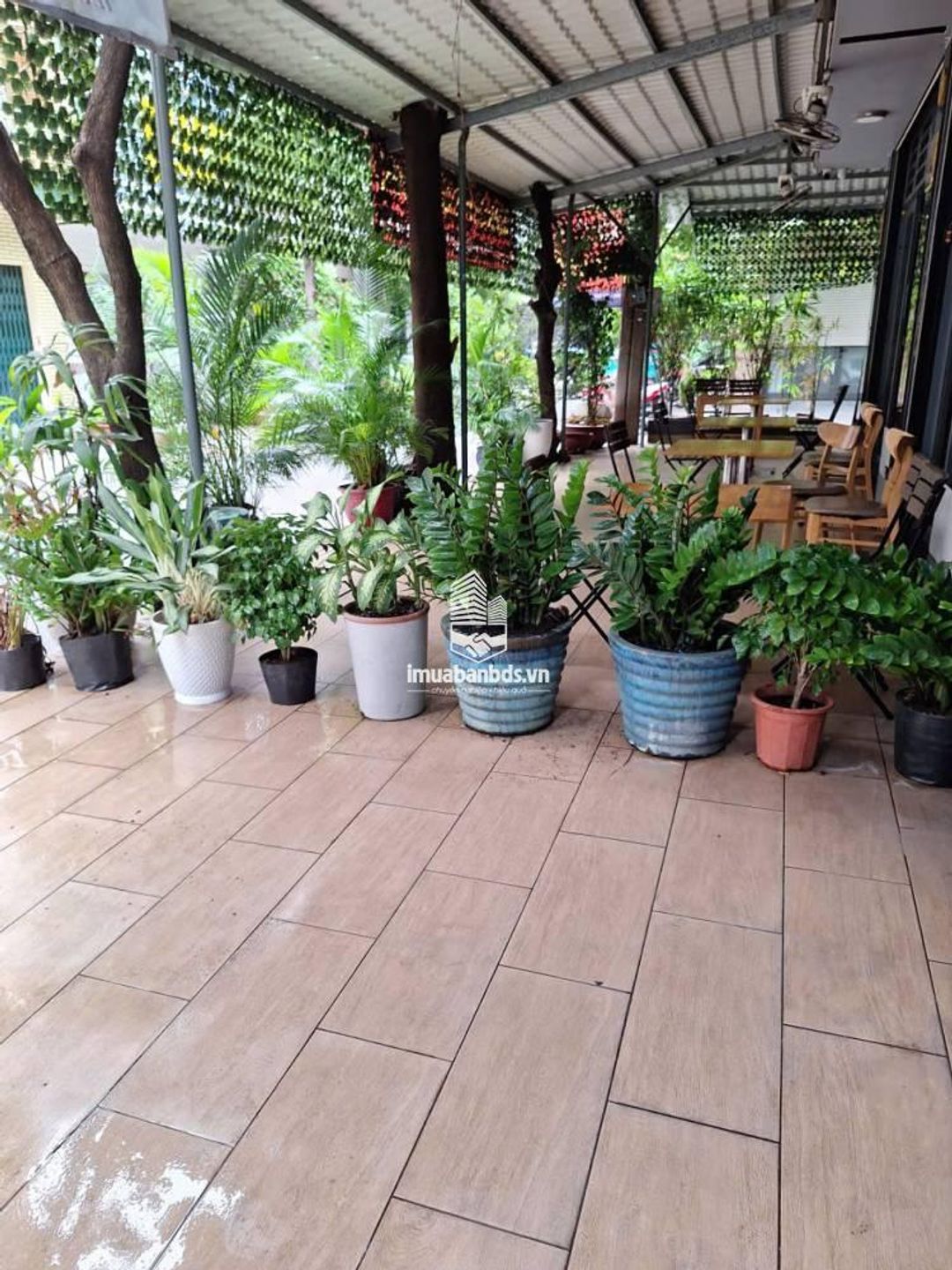 Bán nhà trệt MT kinh doanh Chung cư Thanh Niên P14 Q. Tân Bình - ảnh 8