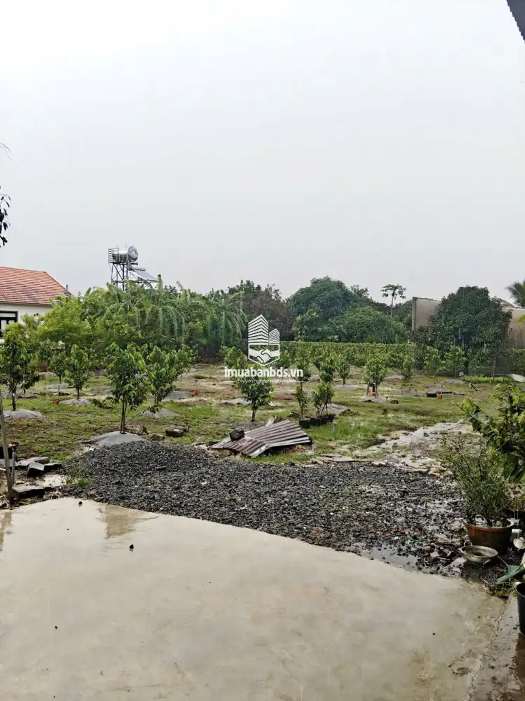 🏡 1,39 Tỷ Đất Vườn, 1.800 m2, 300 ONT, Nhà Cấp 4, Cách TT Long Khánh Vài Phút! - ảnh 2