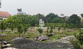 🏡 1,39 Tỷ Đất Vườn, 1.800 m2, 300 ONT, Nhà Cấp 4, Cách TT Long Khánh Vài Phút! - thumbnail 2