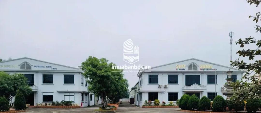 BÁN NHÀ MÁY + ĐẤT 9.907m² NGAY TRUNG TÂM TP. NAM ĐỊNH - ảnh 3