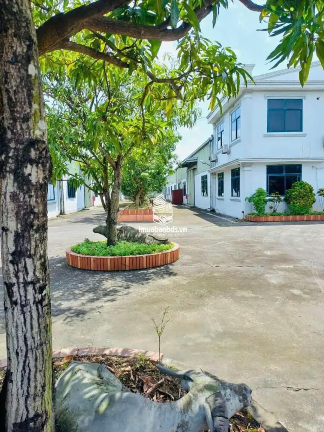 BÁN NHÀ MÁY + ĐẤT 9.907m² NGAY TRUNG TÂM TP. NAM ĐỊNH - ảnh 4