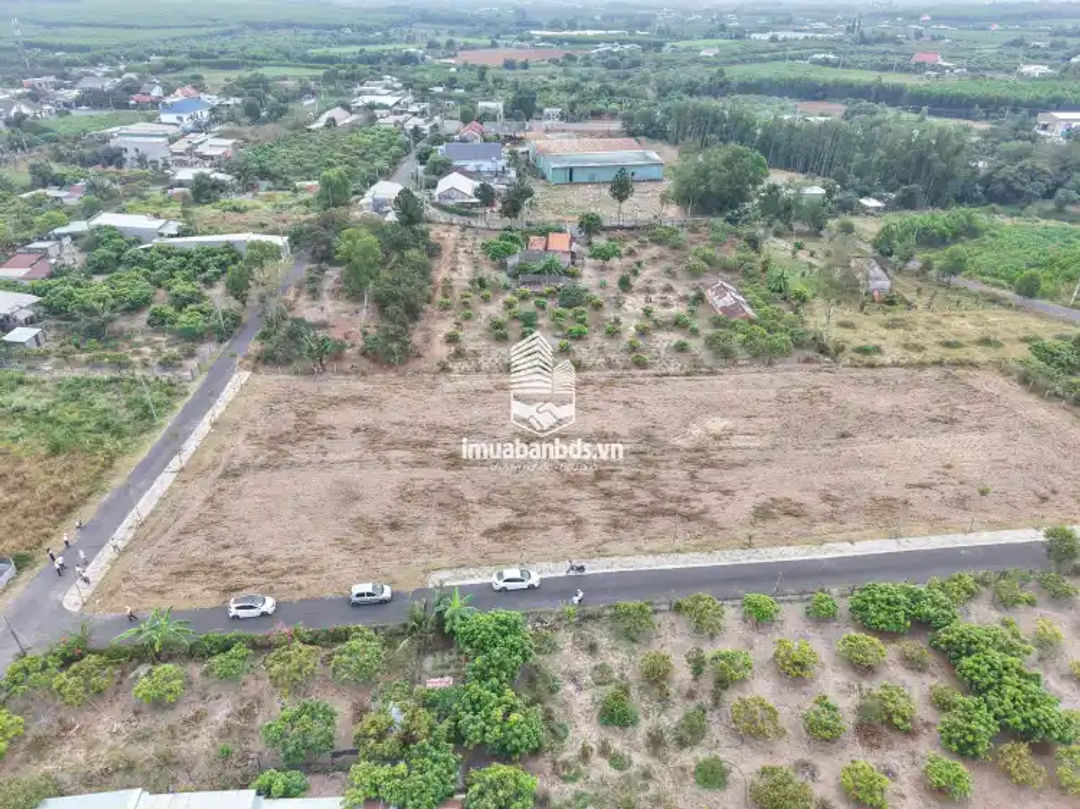 BÁN NHANH 8 LÔ ĐẤT MỖI LÔ NGANG 8M – GIÁ HIẾM KHU VỰC HỒ TRÀM - ảnh 1