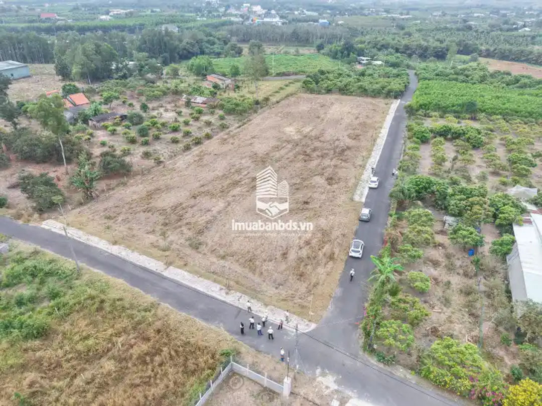 BÁN NHANH 8 LÔ ĐẤT MỖI LÔ NGANG 8M – GIÁ HIẾM KHU VỰC HỒ TRÀM - ảnh 2