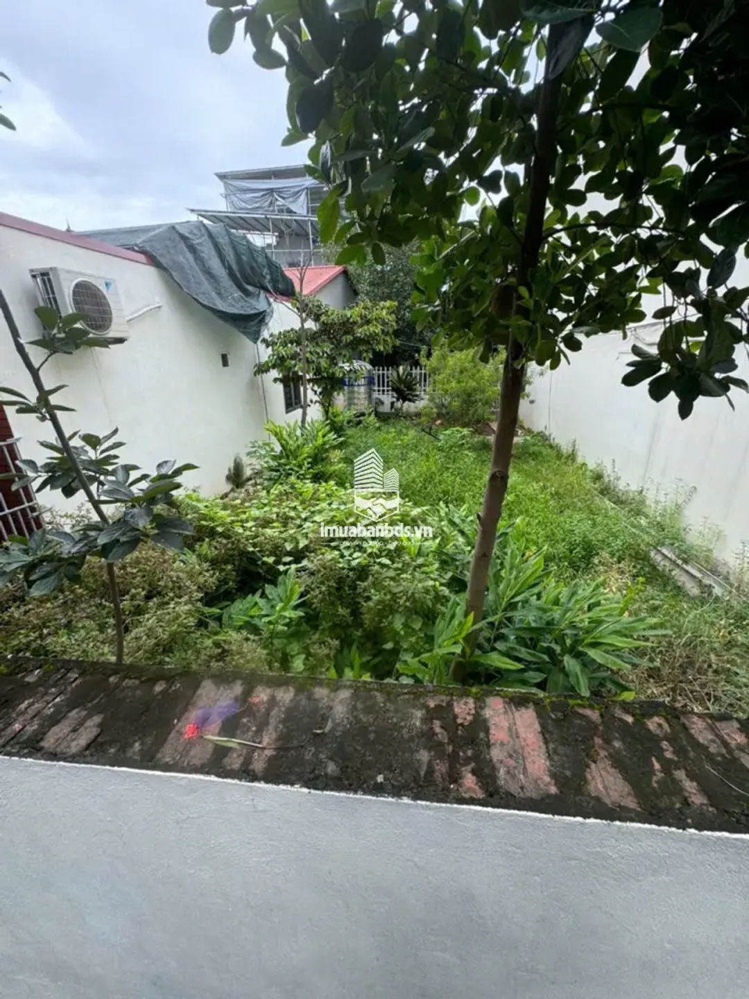 🔥 90m2 ĐẤT KIM CHUNG, HOÀI ĐỨC Ô TÔ 7 CHỖ QUA, 8 tỷ - ảnh 5