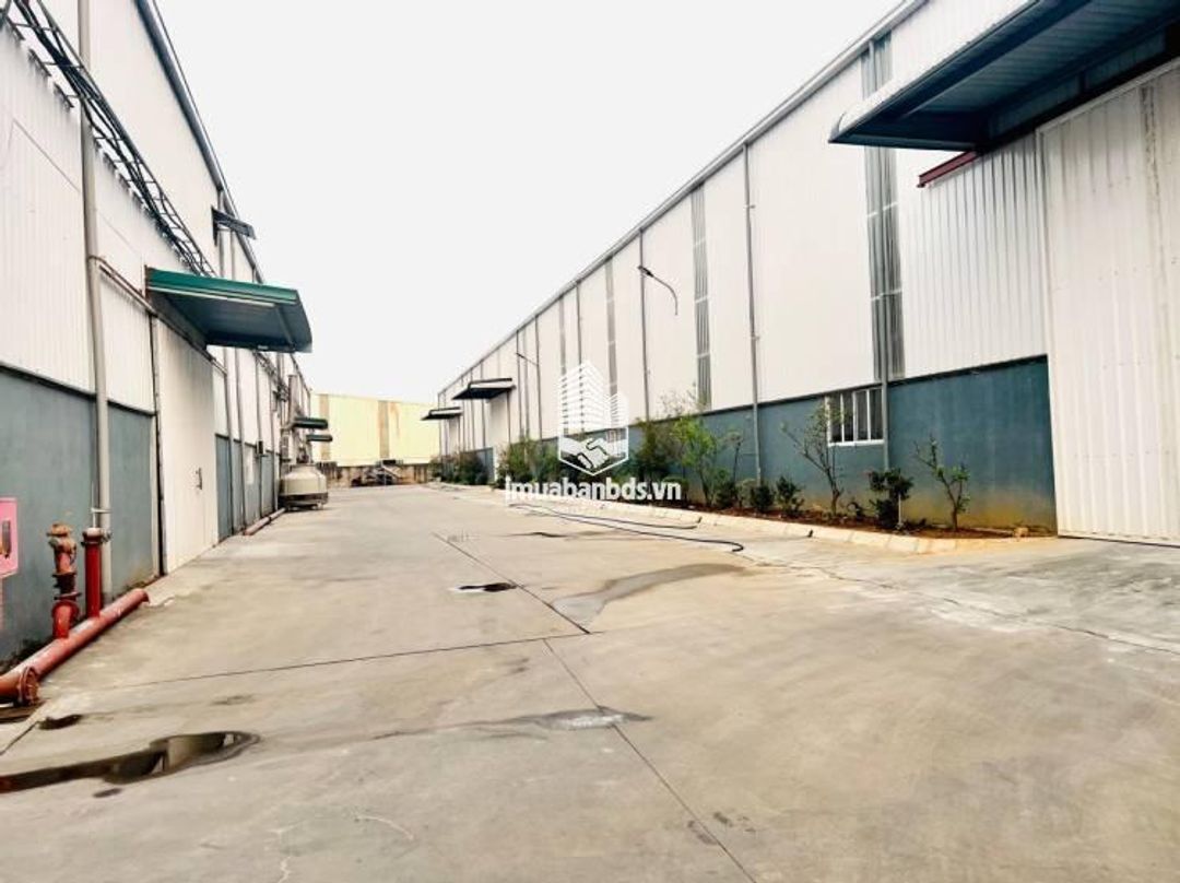 Cho thuê kho xưởng 1000m2 khu vực Thuận Thành Bắc Ninh - ảnh 1