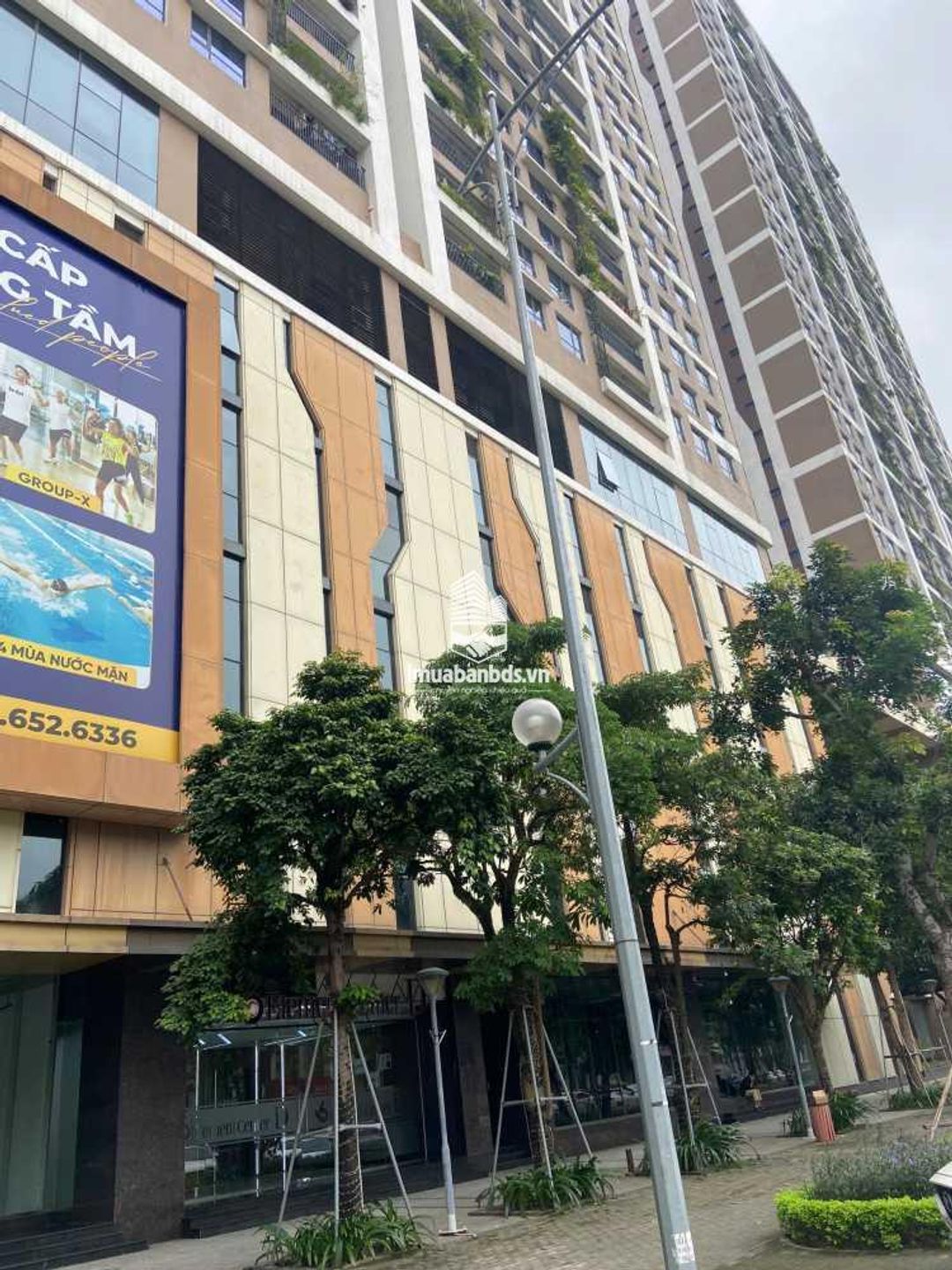 CHO THUÊ VĂN PHÒNG NGÂN HÀNG, NHÀ HÀNG, SHOWROOM, THỜI TRANG 243M2 TẦNG 1 – 6TH ELEMENT (TÂY HỒ TÂY) - ảnh 5