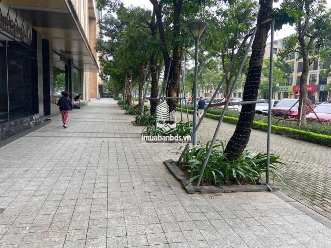 CHO THUÊ MẶT BẰNG KINH DOANH VĂN PHÒNG TẦNG 1 – 243m² TẠI 6TH ELEMENT - ảnh 7