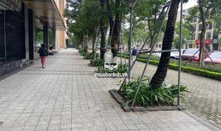 CHO THUÊ MẶT BẰNG KINH DOANH VĂN PHÒNG TẦNG 1 – 243m² TẠI 6TH ELEMENT - thumbnail 7