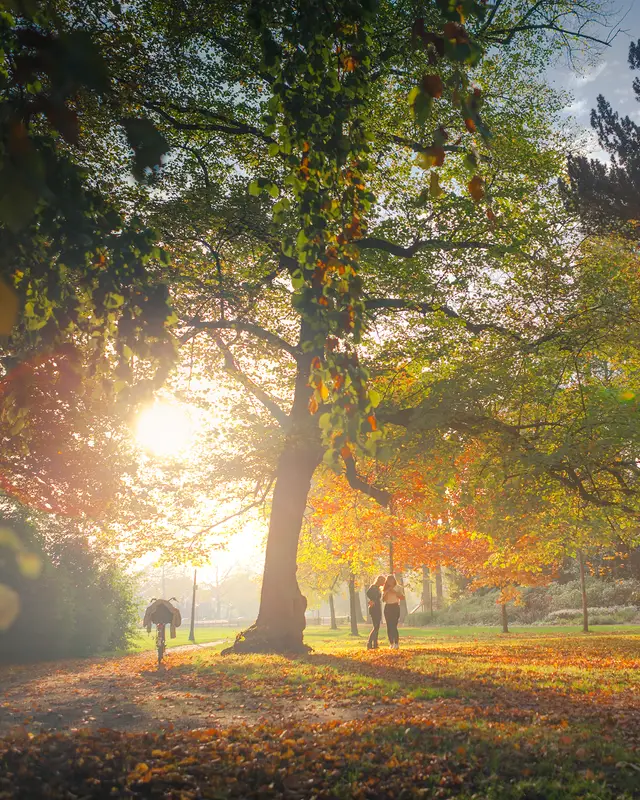 Foto: De groenste stad