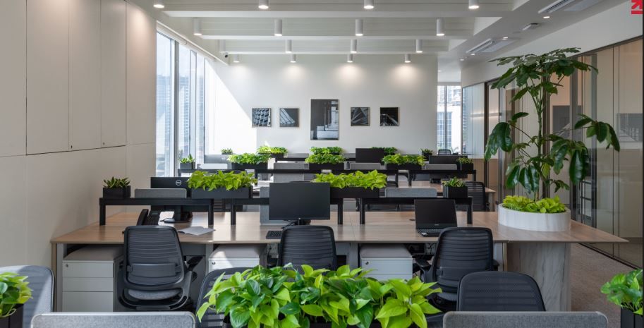 office image