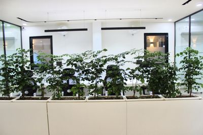 office image