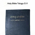 Telugu Holy Bible