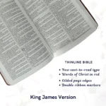 KJV Holy Bible - Image 4