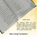 NLT Holy Bible - Image 4