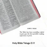 Telugu Holy Bible - Image 4