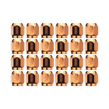 Kit 24 Fêmeas