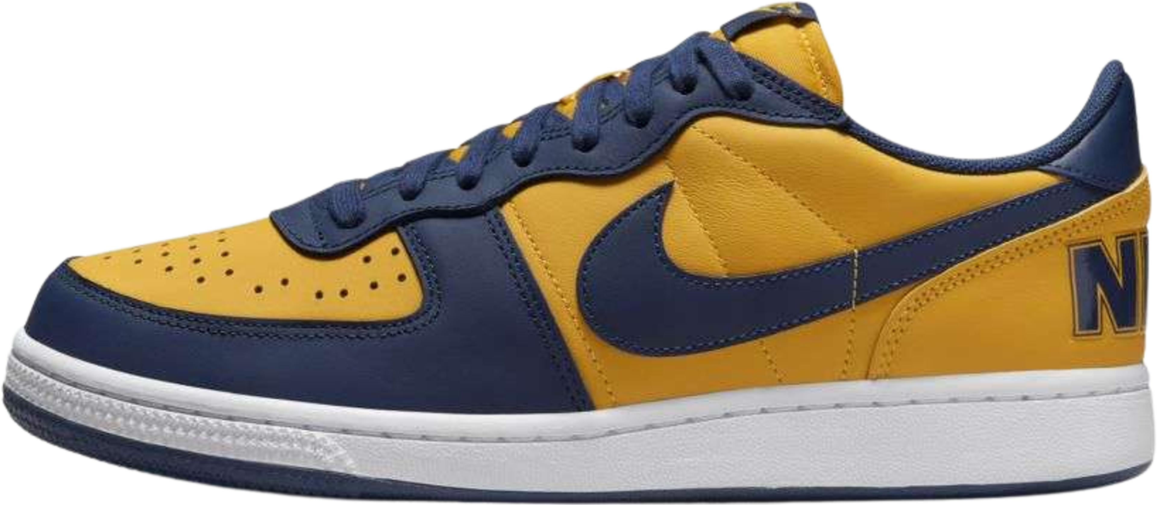 Nike Terminator Low Michigan