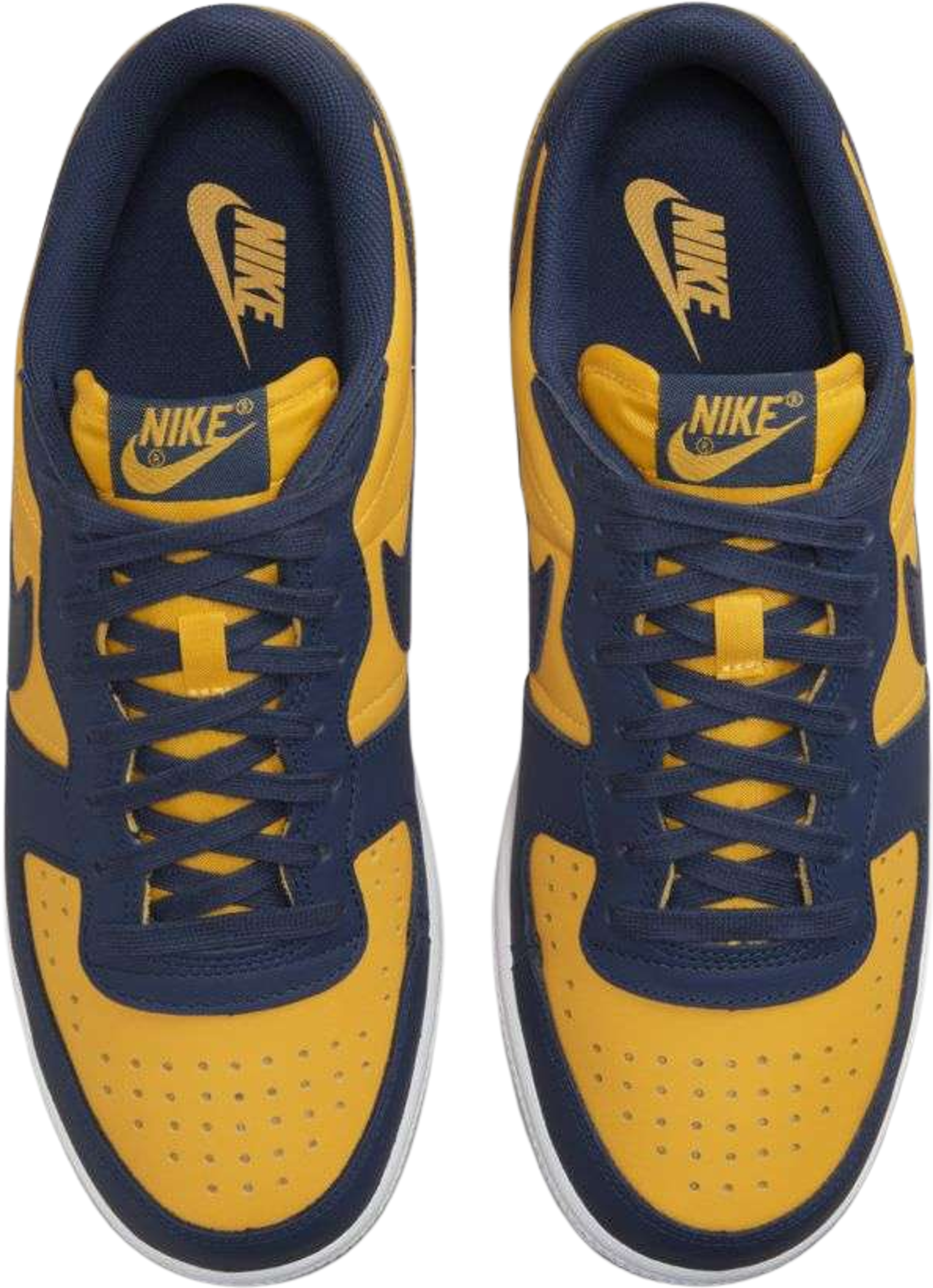 Nike Terminator Low Michigan