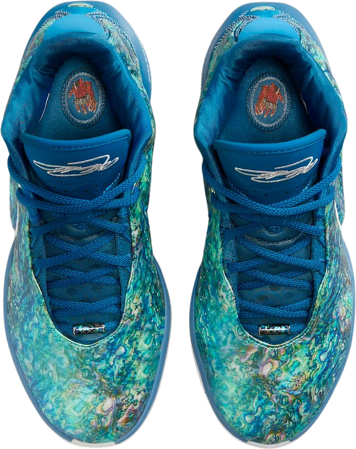 Nike LeBron 21 Abalone | Release Information