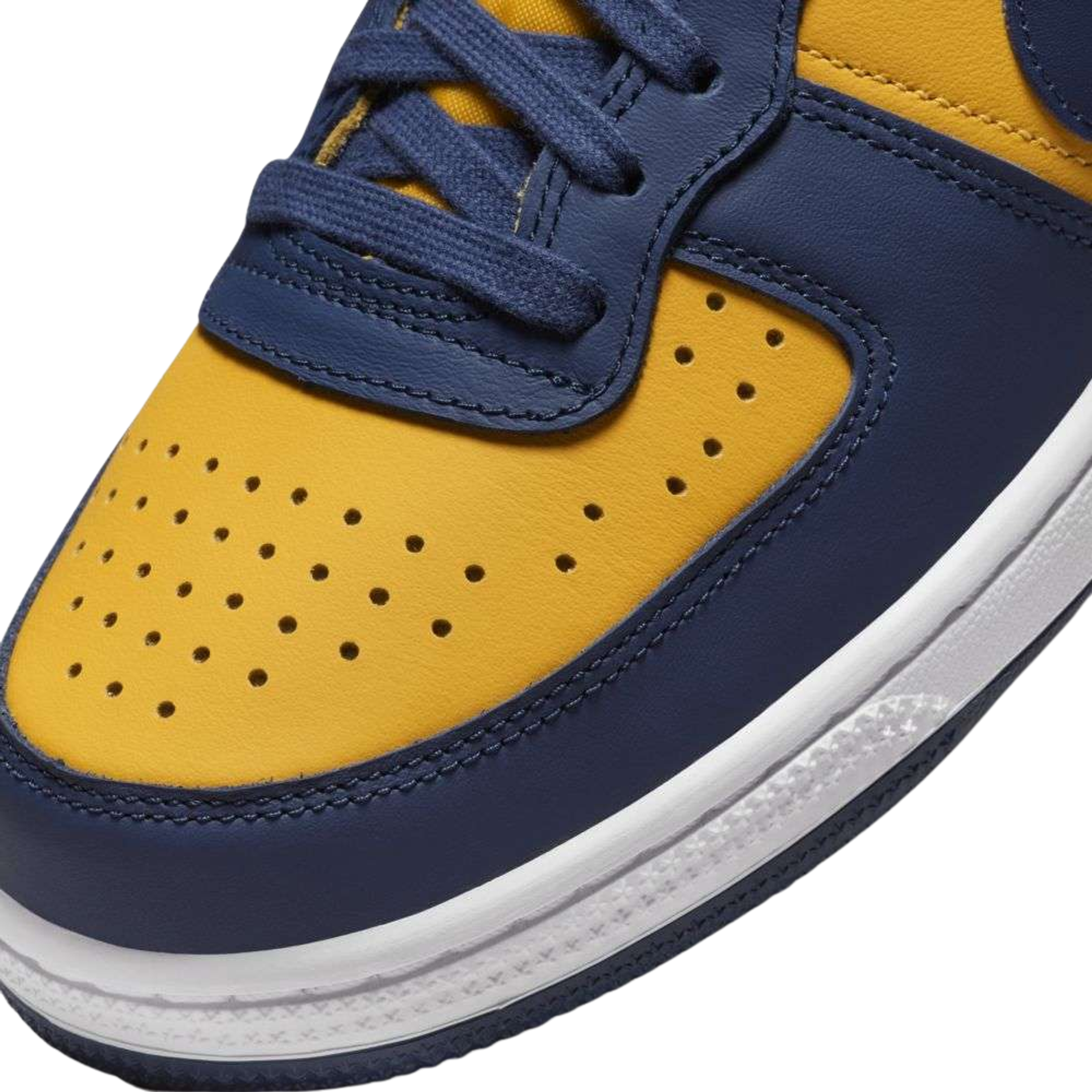 Nike Terminator Low Michigan