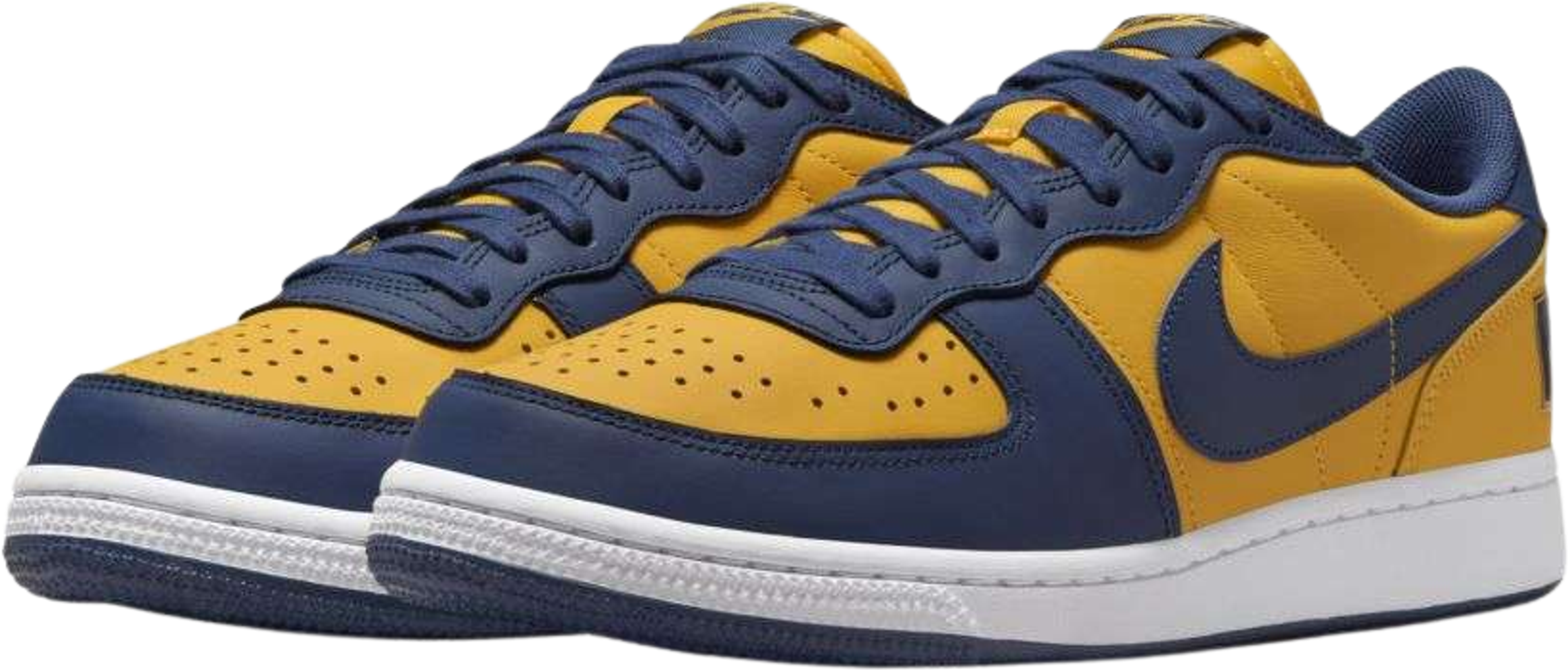 Nike Terminator Low Michigan