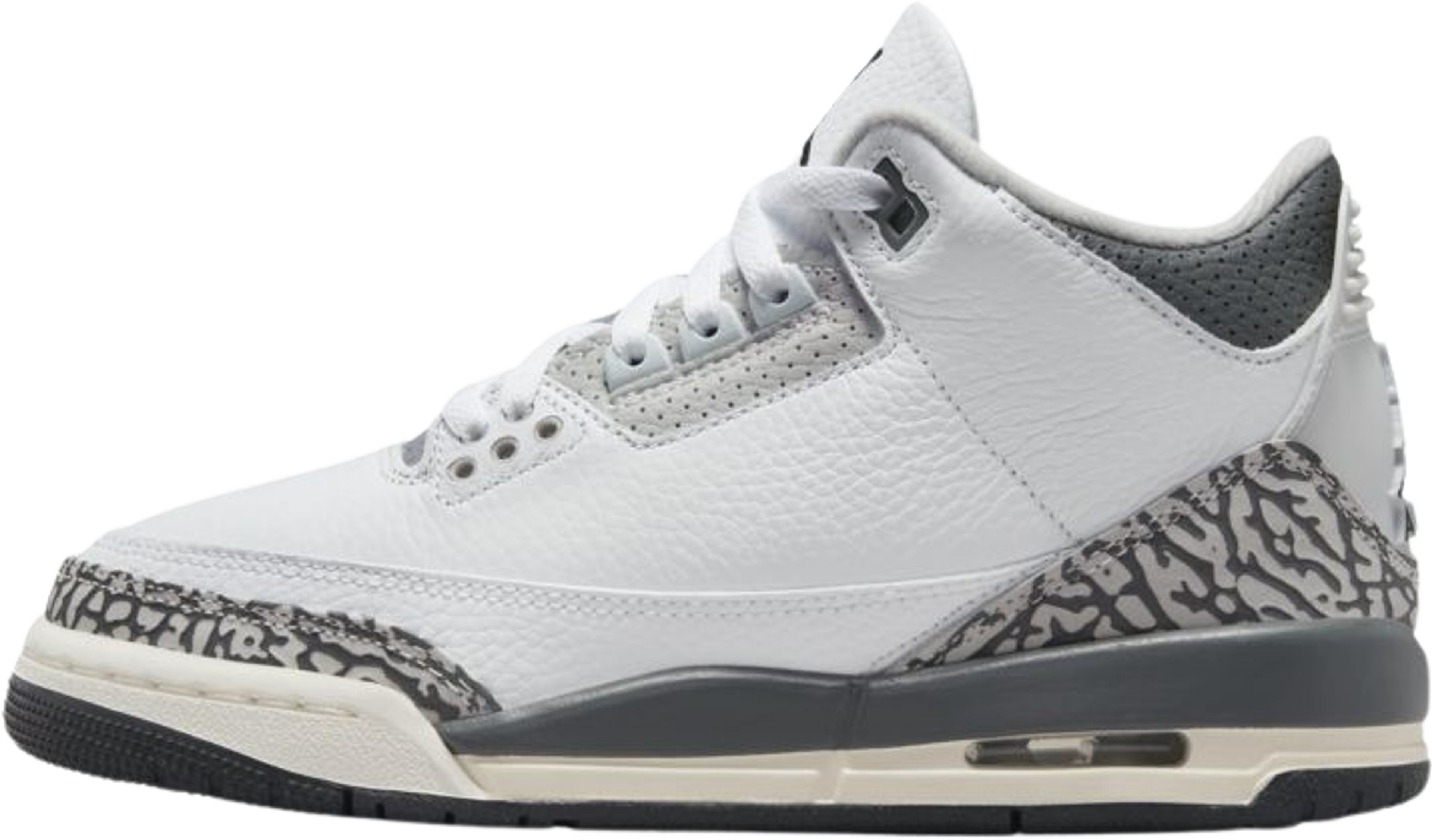 Air Jordan 3 Retro Hide N' Sneak (GS)