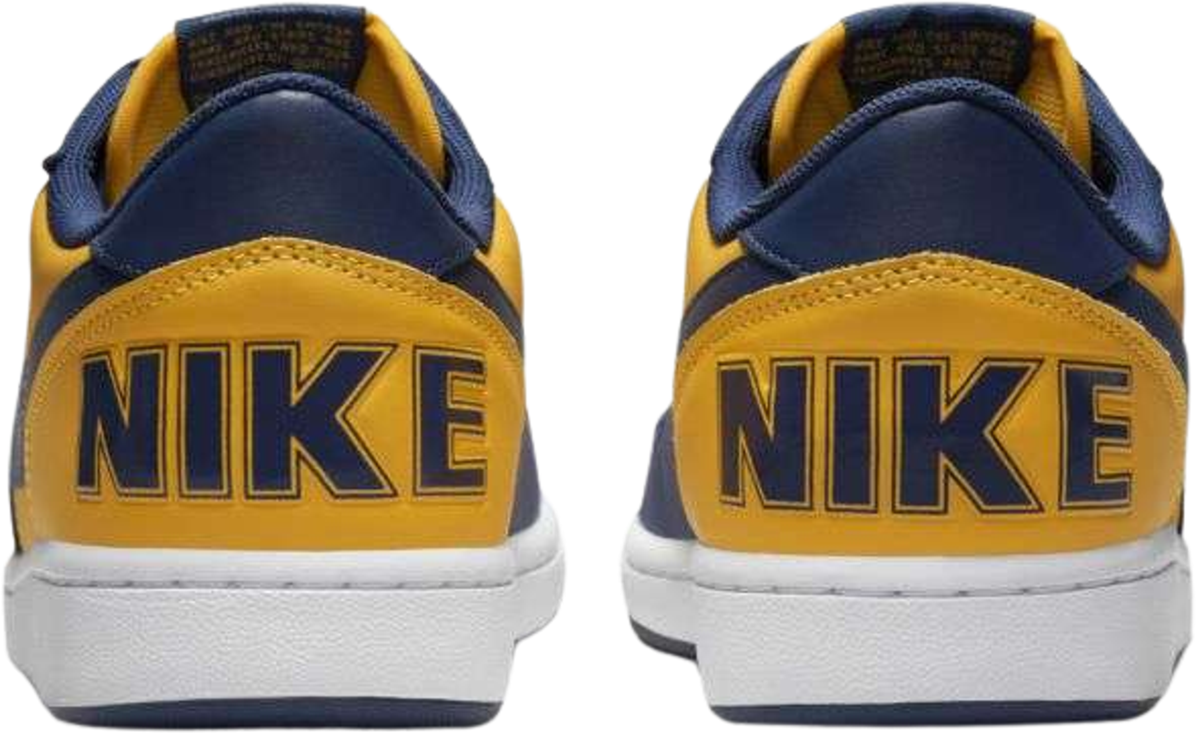 Nike Terminator Low Michigan