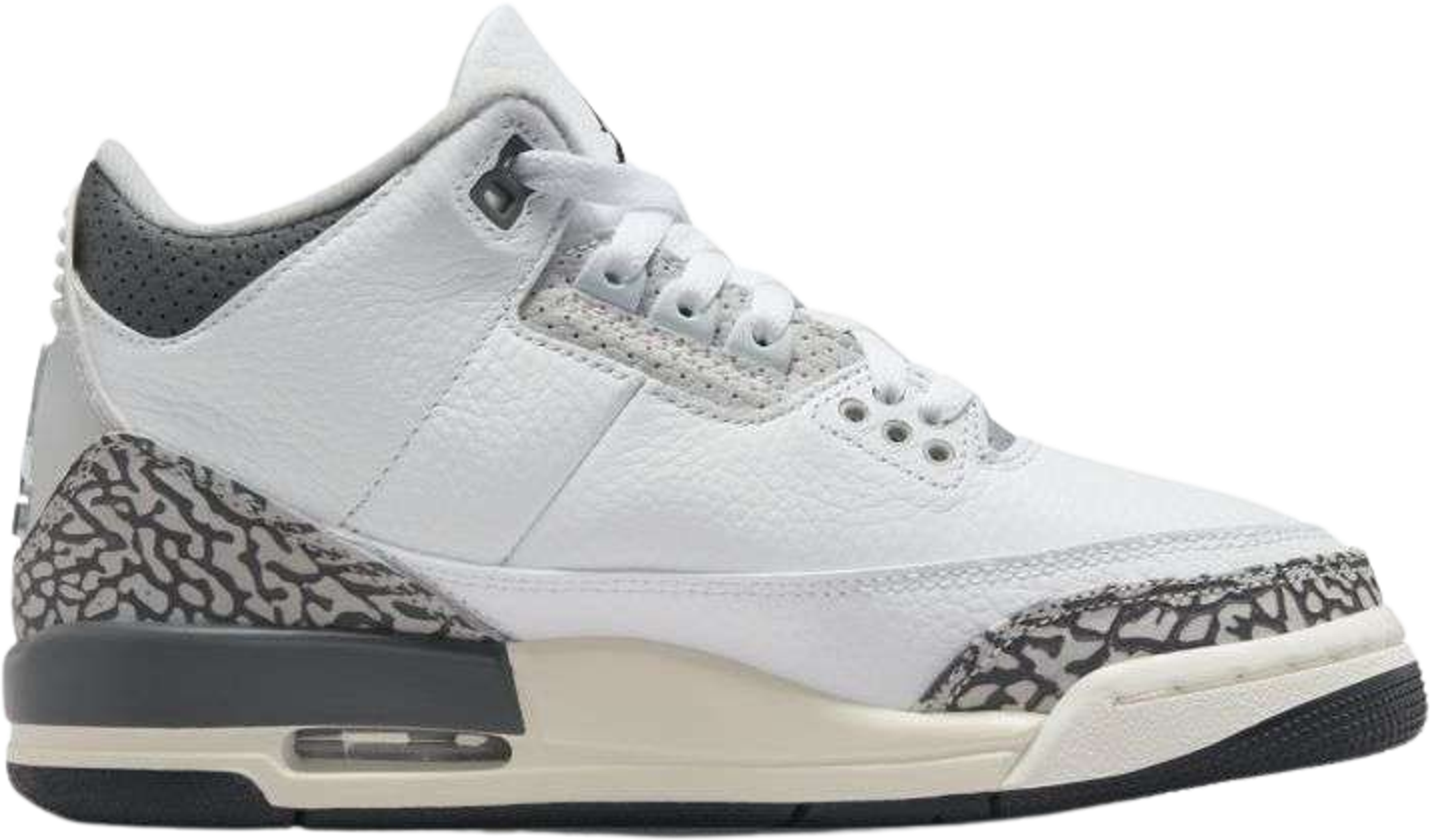 Air Jordan 3 Retro Hide N' Sneak (GS)