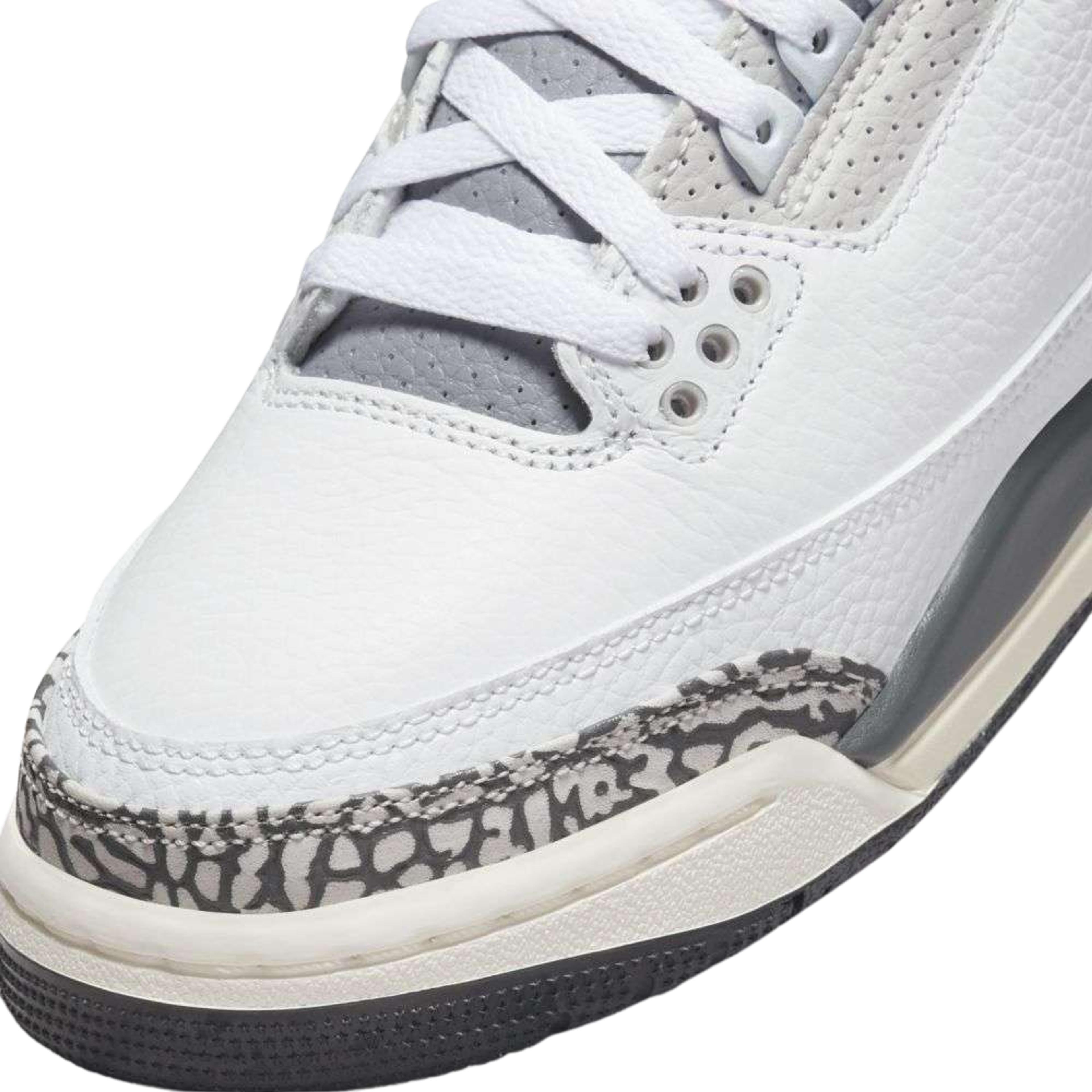 Air Jordan 3 Retro Hide N' Sneak (GS)